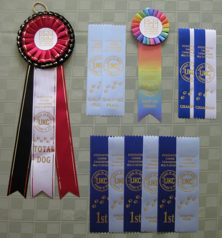 Award ribbons from ACCM shows & trials in Quebec.