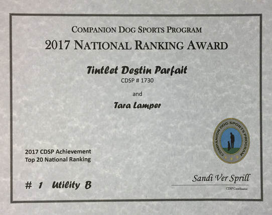 #1 in Utility B CDSP National Ranking!  Standard Poodle Obedience Champion 